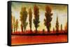Tall Trees Horizonal Red-Tim O'toole-Framed Stretched Canvas