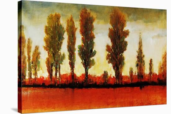 Tall Trees Horizonal Red-Tim O'toole-Stretched Canvas