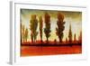 Tall Trees Horizonal Red-Tim O'toole-Framed Giclee Print