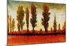 Tall Trees Horizonal Red-Tim O'toole-Mounted Giclee Print