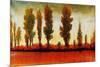 Tall Trees Horizonal Red-Tim O'toole-Mounted Giclee Print