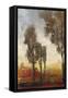 Tall Trees I-Tim O'toole-Framed Stretched Canvas