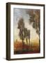 Tall Trees I-Tim O'toole-Framed Art Print