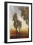 Tall Trees I-Tim O'toole-Framed Art Print