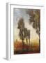 Tall Trees I-Tim O'toole-Framed Art Print