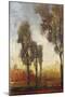 Tall Trees I-Tim O'toole-Mounted Art Print