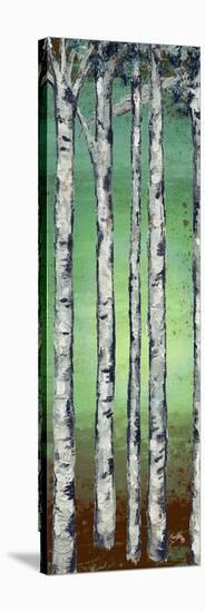 Tall Trees II-Elizabeth Medley-Stretched Canvas