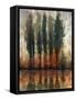 Tall Trees Reflection I-Tim O'toole-Framed Stretched Canvas