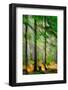 Tall Trees-Ursula Abresch-Framed Photographic Print