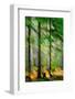 Tall Trees-Ursula Abresch-Framed Photographic Print