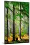 Tall Trees-Ursula Abresch-Mounted Photographic Print