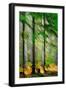 Tall Trees-Ursula Abresch-Framed Photographic Print