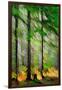 Tall Trees-Ursula Abresch-Framed Photographic Print