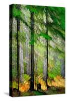 Tall Trees-Ursula Abresch-Stretched Canvas