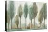 Tall Trees-Allison Pearce-Stretched Canvas