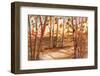 Tall Trees-Neela Pushparaj-Framed Photographic Print