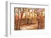 Tall Trees-Neela Pushparaj-Framed Photographic Print