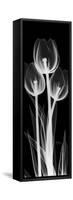 Tall Tulips Inverted-Albert Koetsier-Framed Stretched Canvas