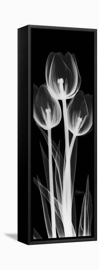 Tall Tulips Inverted-Albert Koetsier-Framed Stretched Canvas