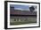 Talladega Superspeedway Race, Talladega, Alabama-Carol Highsmith-Framed Art Print