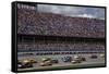 Talladega Superspeedway Race, Talladega, Alabama-Carol Highsmith-Framed Stretched Canvas