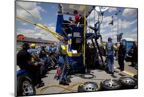 Talladega Superspeedway Race, Talladega, Alabama-Carol Highsmith-Mounted Art Print