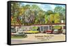 Tallahassee Dining Room, Florida-null-Framed Stretched Canvas