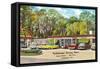 Tallahassee Dining Room, Florida-null-Framed Stretched Canvas