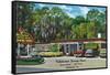 Tallahassee, Florida - Aaa Dining Room Motor Hotel-Lantern Press-Framed Stretched Canvas