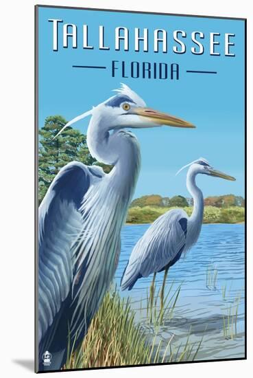 Tallahassee, Florida - Blue Herons-Lantern Press-Mounted Art Print