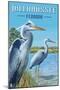 Tallahassee, Florida - Blue Herons-Lantern Press-Mounted Art Print