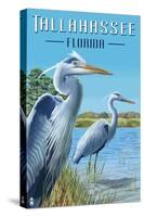 Tallahassee, Florida - Blue Herons-Lantern Press-Stretched Canvas