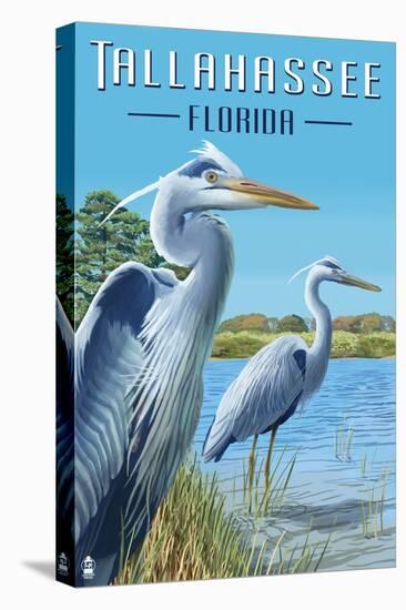 Tallahassee, Florida - Blue Herons-Lantern Press-Stretched Canvas