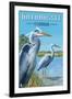 Tallahassee, Florida - Blue Herons-Lantern Press-Framed Art Print