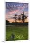 Tallahassee, Florida - Cypress and Sunset-Lantern Press-Framed Art Print