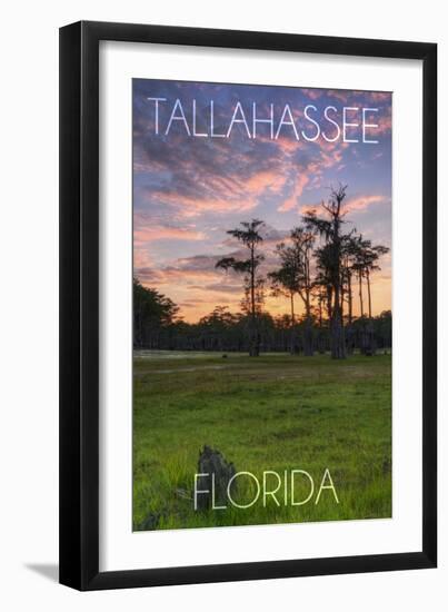 Tallahassee, Florida - Cypress and Sunset-Lantern Press-Framed Art Print