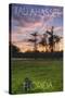 Tallahassee, Florida - Cypress and Sunset-Lantern Press-Stretched Canvas
