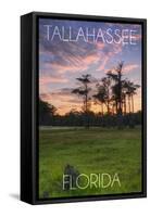 Tallahassee, Florida - Cypress and Sunset-Lantern Press-Framed Stretched Canvas