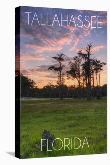 Tallahassee, Florida - Cypress and Sunset-Lantern Press-Stretched Canvas