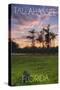 Tallahassee, Florida - Cypress and Sunset-Lantern Press-Stretched Canvas