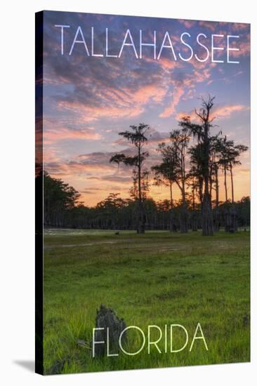 Tallahassee, Florida - Cypress and Sunset-Lantern Press-Stretched Canvas