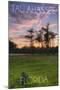 Tallahassee, Florida - Cypress and Sunset-Lantern Press-Mounted Art Print