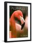 Tallahassee, Florida - Flamingo Up Close-Lantern Press-Framed Art Print