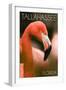 Tallahassee, Florida - Flamingo Up Close-Lantern Press-Framed Art Print