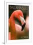 Tallahassee, Florida - Flamingo Up Close-Lantern Press-Framed Art Print