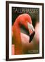 Tallahassee, Florida - Flamingo Up Close-Lantern Press-Framed Art Print