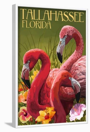 Tallahassee, Florida - Flamingos-Lantern Press-Framed Art Print