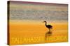 Tallahassee, Florida - Golden Heron-Lantern Press-Stretched Canvas