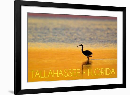 Tallahassee, Florida - Golden Heron-Lantern Press-Framed Art Print