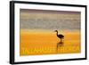 Tallahassee, Florida - Golden Heron-Lantern Press-Framed Art Print